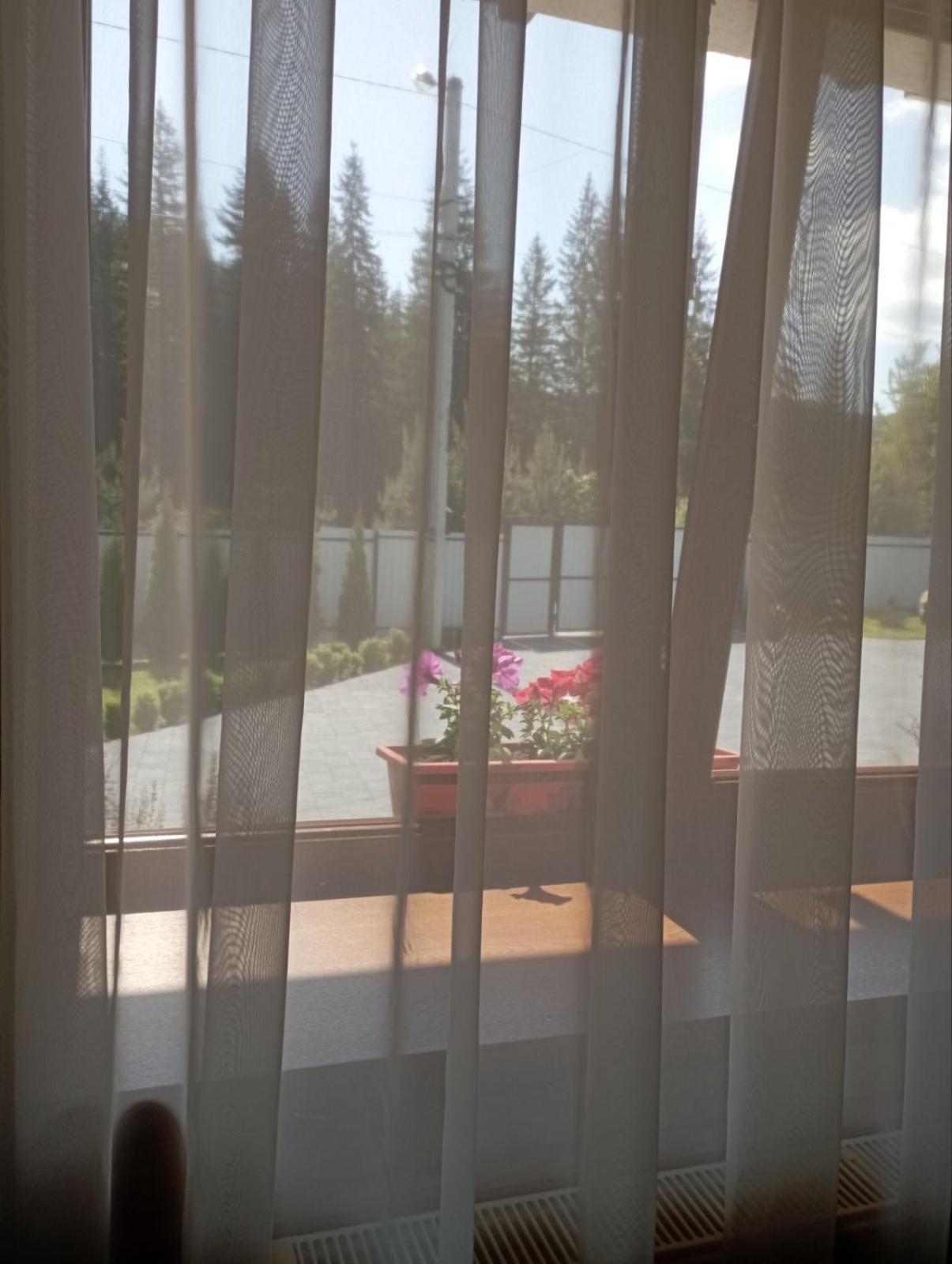 U Anastasii I Sofii Bilya Richki Guest House Mykulychyn Exterior photo